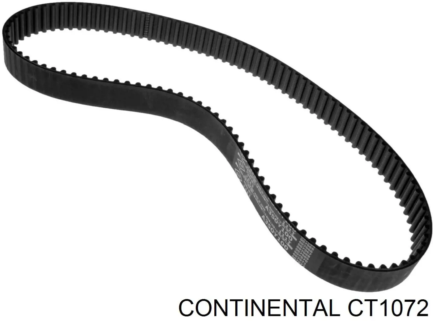 CT1072 Continental/Siemens correa distribucion