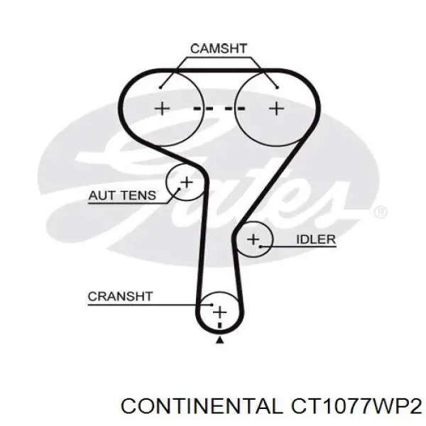 Comprar CT1077WP2 Continental/Siemens Kit de correa de distribución