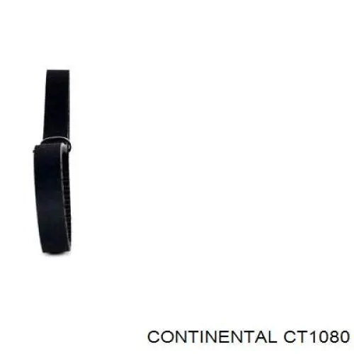 Correa de distribución Continental/Siemens CT1080 precio, desde 94,37 EUR