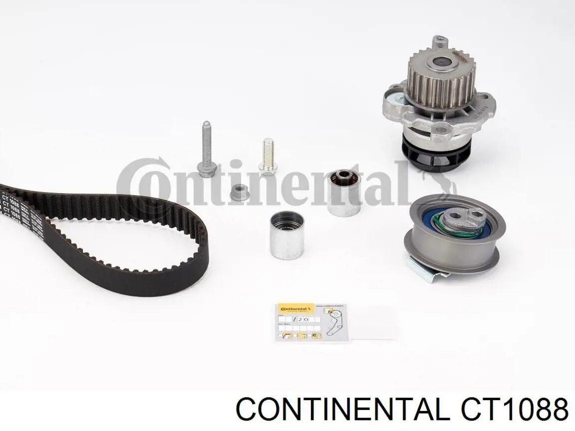 6D109119B VAG correa distribucion