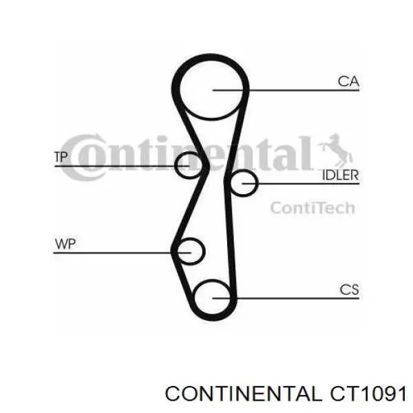 Comprar CT1091 Continental/Siemens Correa distribución