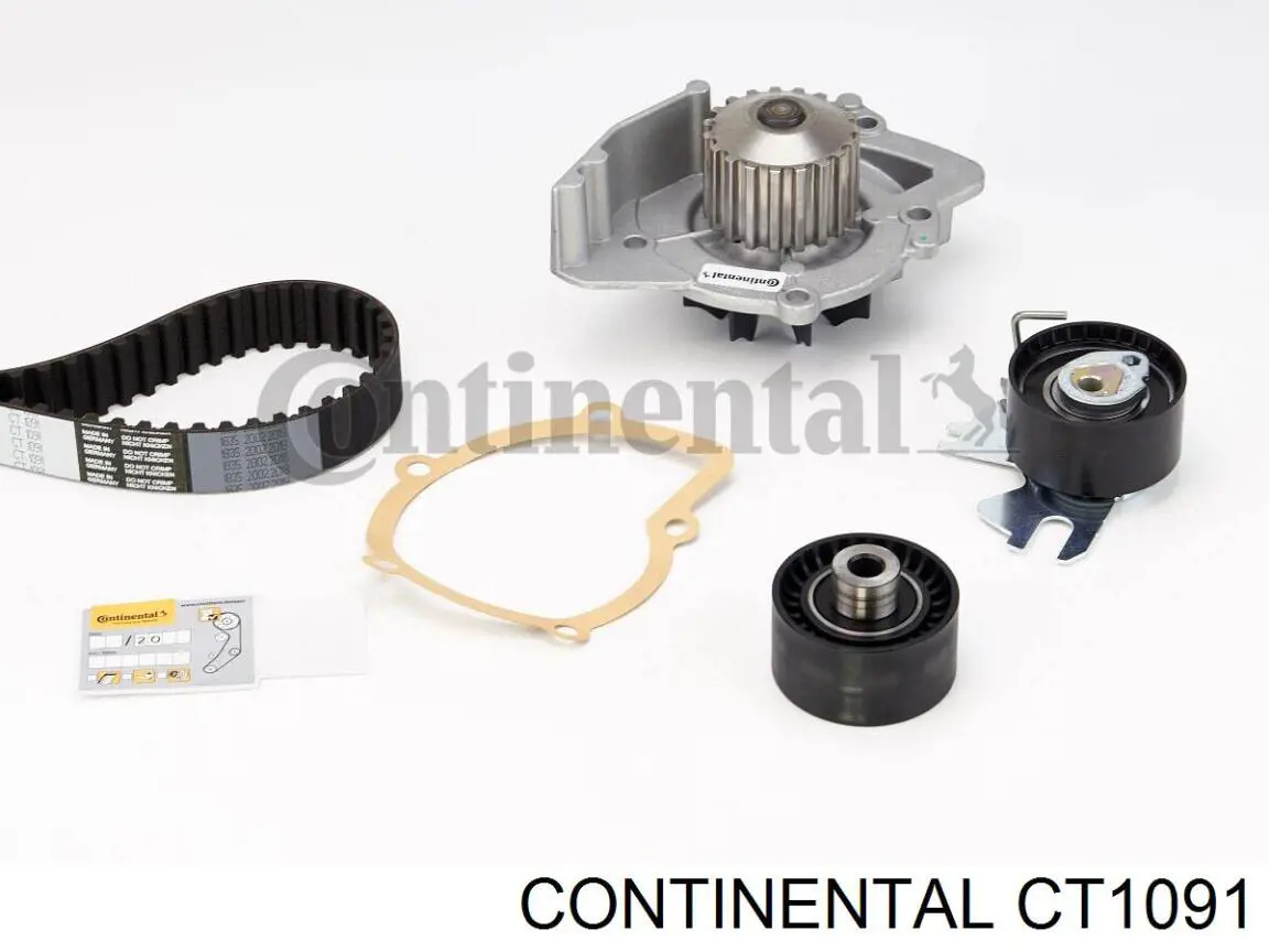 CT1091 Continental/Siemens correa distribucion