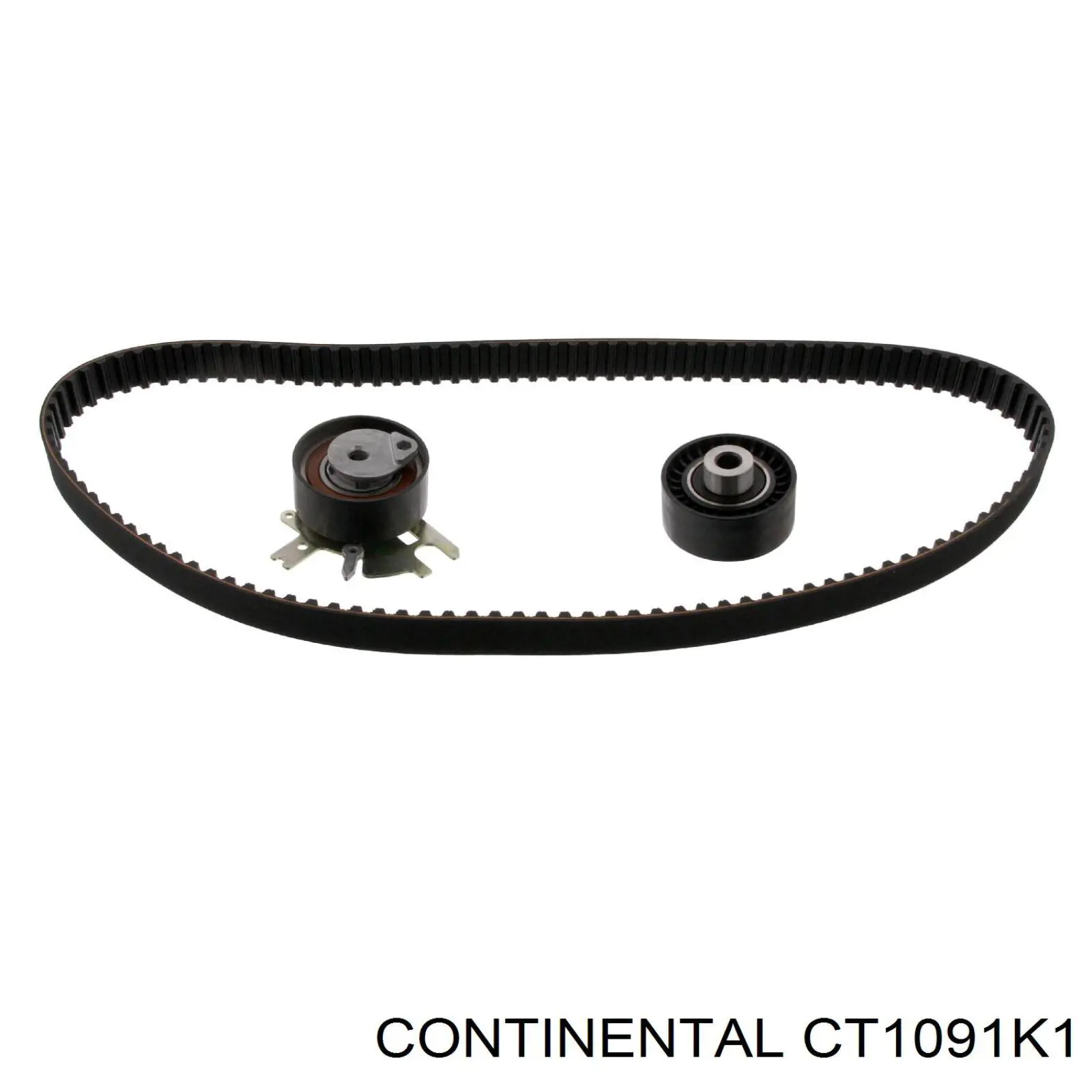 00000831T5 Peugeot/Citroen Kit correa de distribución