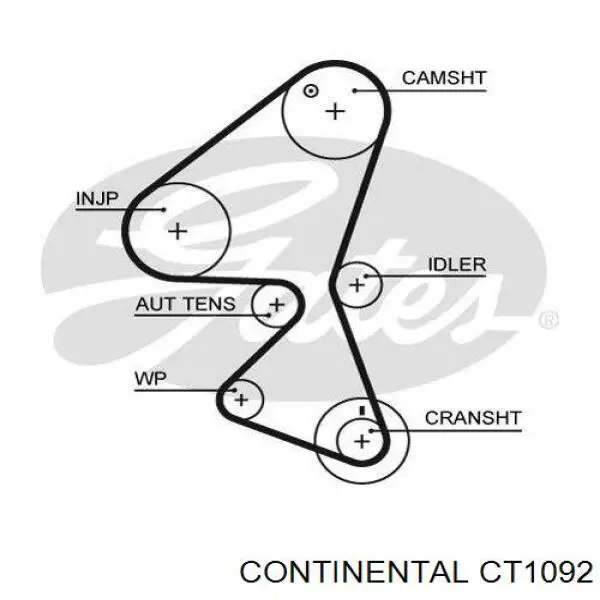 Correa distribucion Ford Fiesta JH, JD