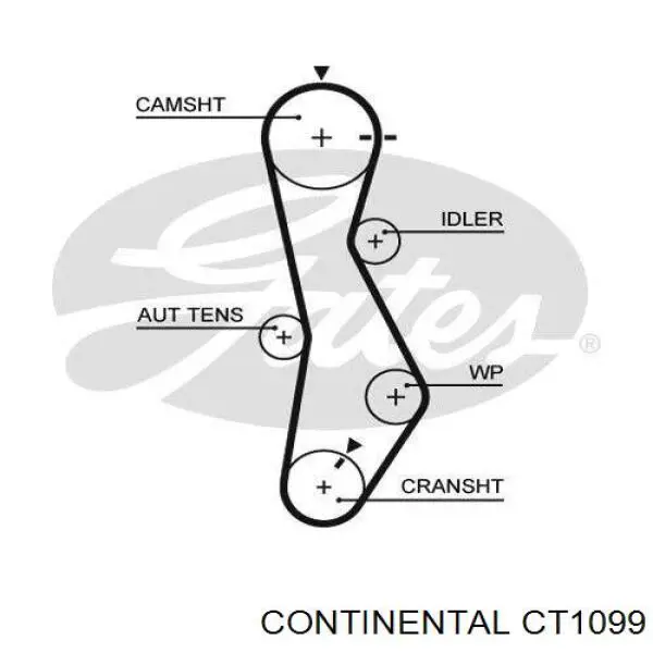 Correa de distribución Continental/Siemens CT1099 precio, desde 64,42 EUR