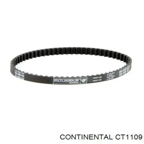 Correa del eje de equilibrado CT1109 Continental/Siemens