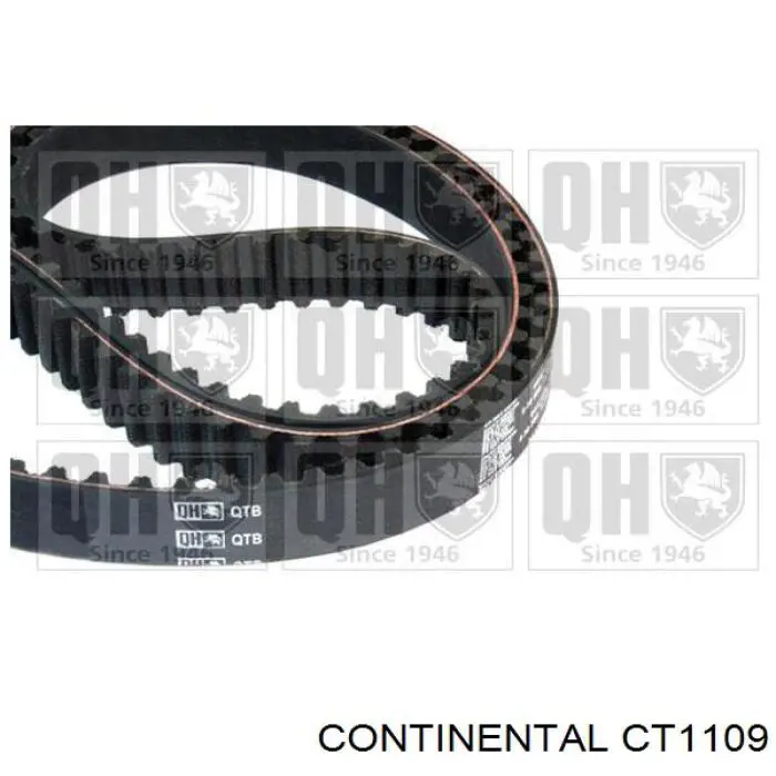Correa del eje de equilibrado Continental/Siemens CT1109