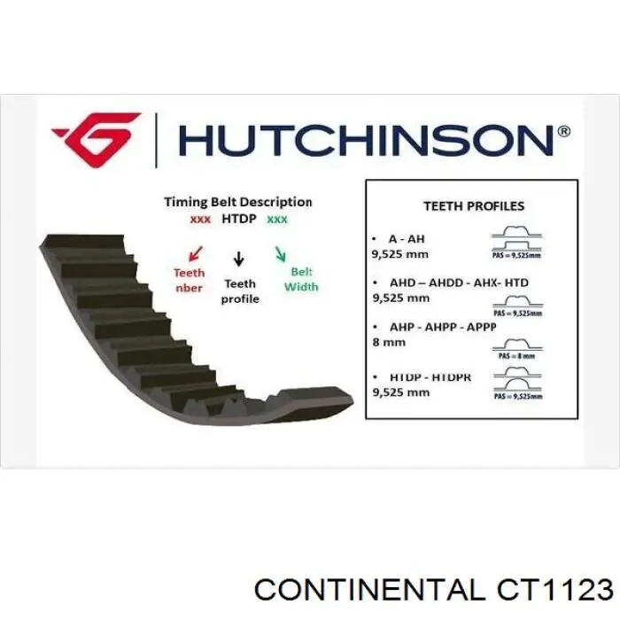 Comprar CT1123 Continental/Siemens Correa distribución
