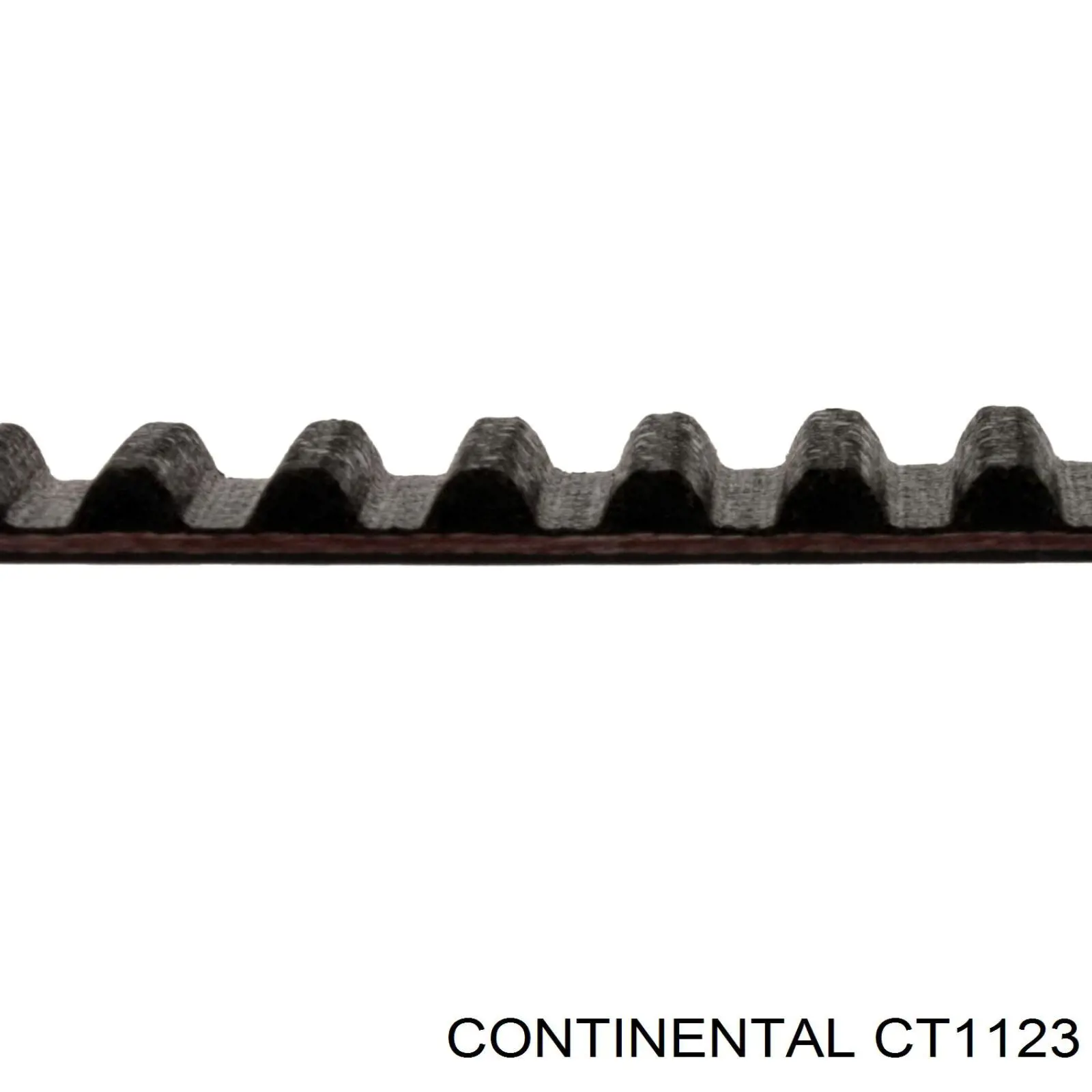 Correa de distribución Continental/Siemens CT1123 precio, desde 134,43 EUR