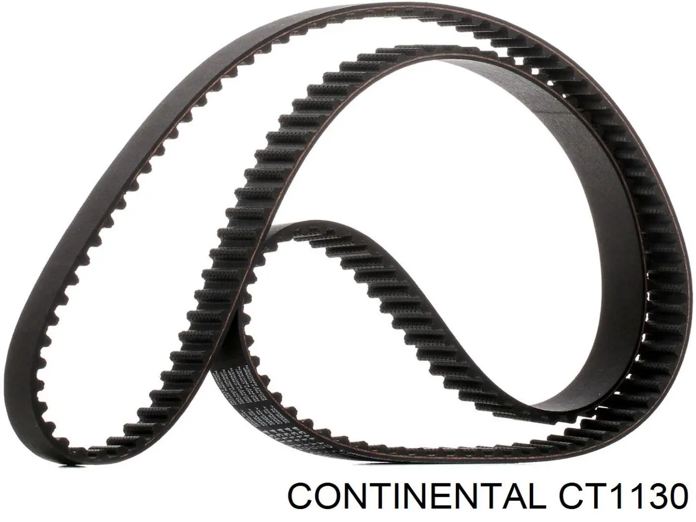 CT1130 Continental/Siemens correa distribución