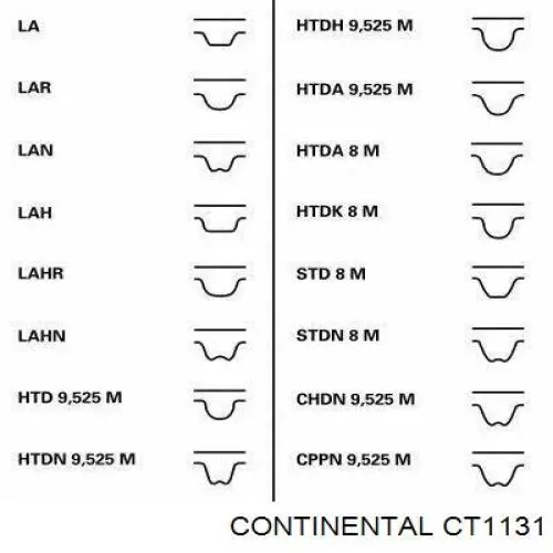 CT1131 Continental/Siemens correa distribucion