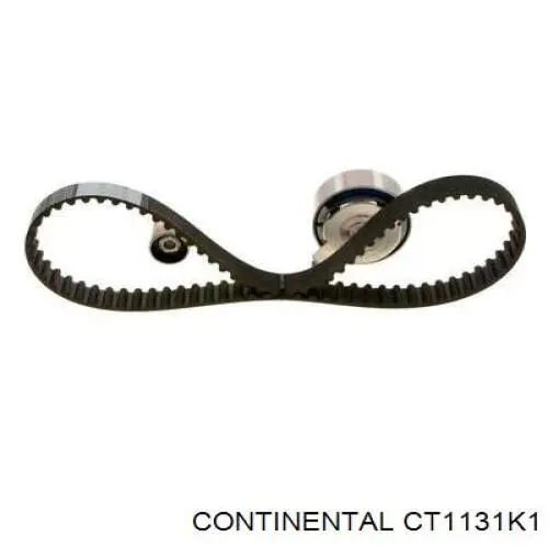 Kit distribución Continental/Siemens CT1131K1