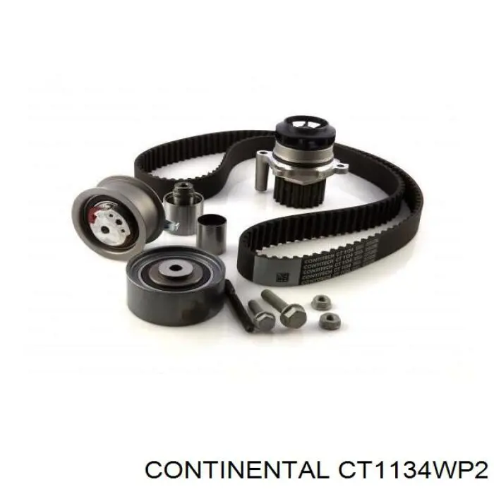 Kit correa de distribución Volkswagen Tiguan 1 5N1, 5N2