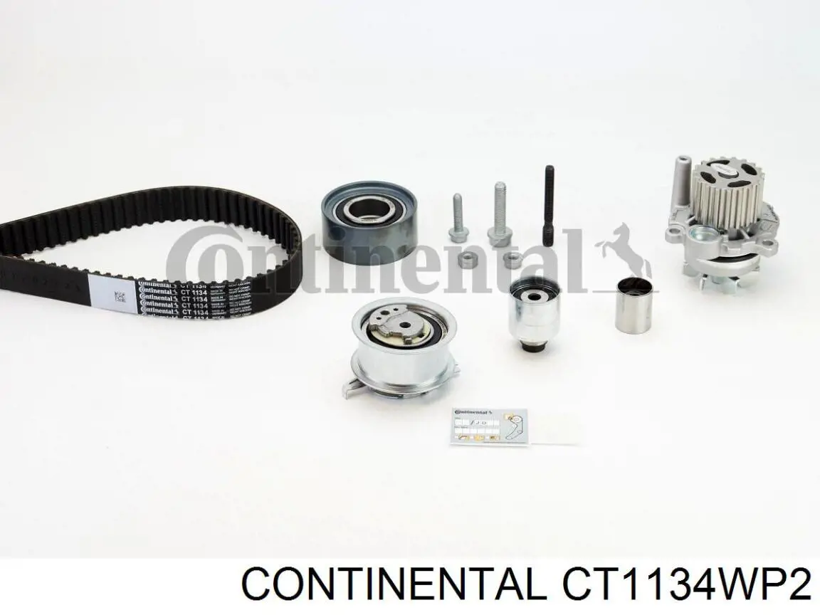 Kit correa de distribución Volkswagen Tiguan 1 5N1, 5N2