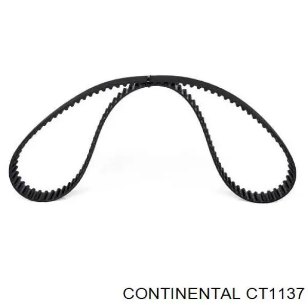 CT1137 Continental/Siemens correa distribución