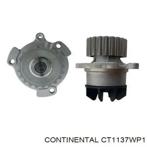 CT1137WP1 Continental/Siemens kit correa de distribución