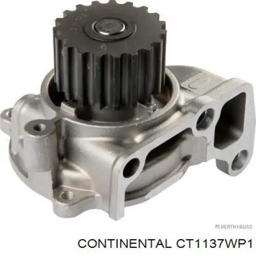 Juego de correas dentadas Continental/Siemens CT1137WP1 precio, desde 130,97 EUR