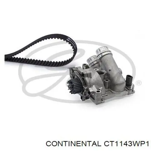 Juego de correas dentadas Continental/Siemens CT1143WP1 precio, desde 127,91 EUR