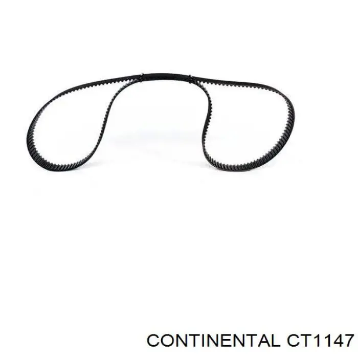 CT1147 Continental/Siemens Correa dentada
