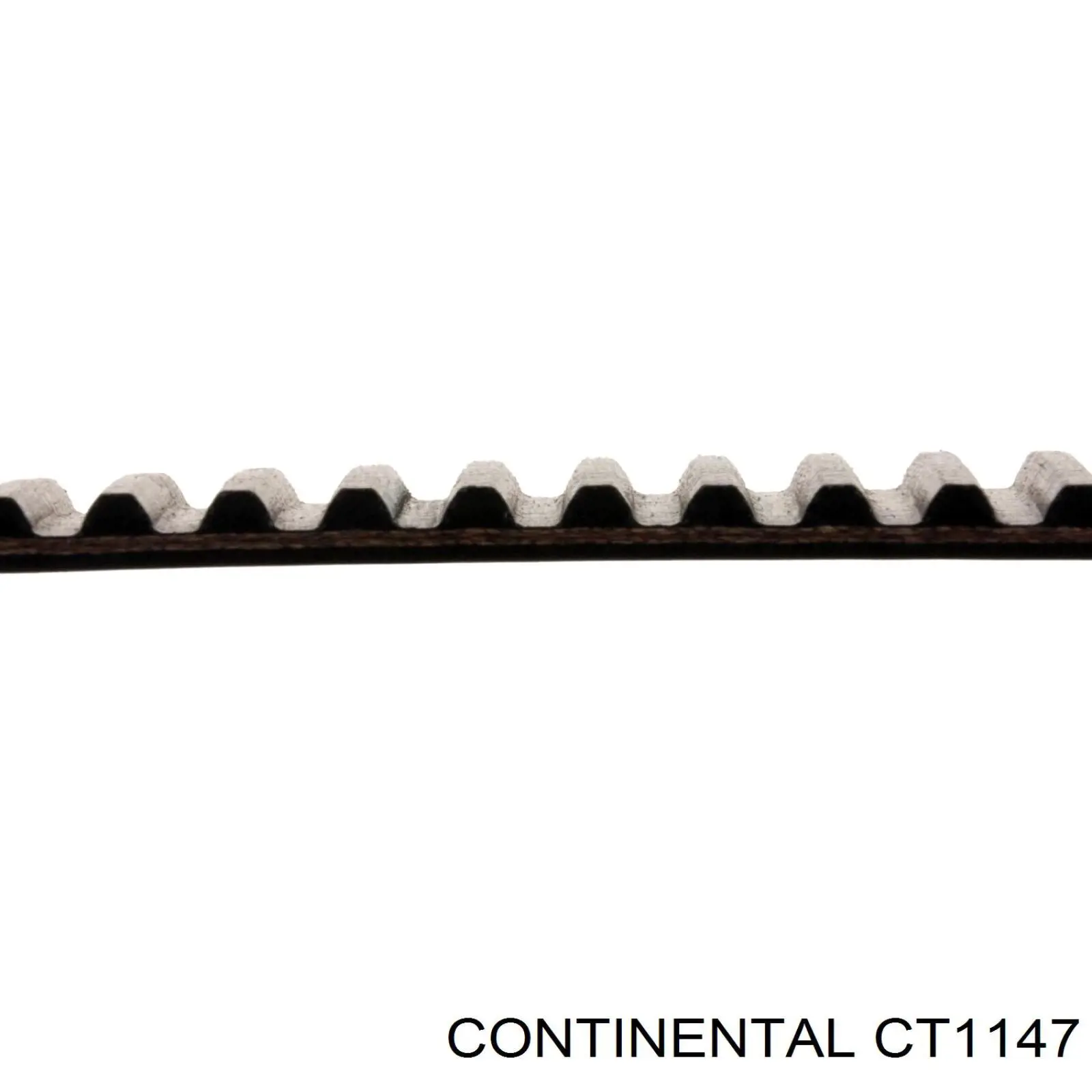 Comprar CT1147 Continental/Siemens Correa distribución