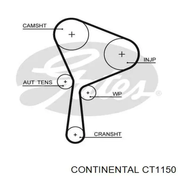 CT1150 Continental/Siemens correa distribución