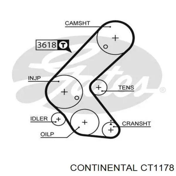 CT1178 Continental/Siemens correa distribucion