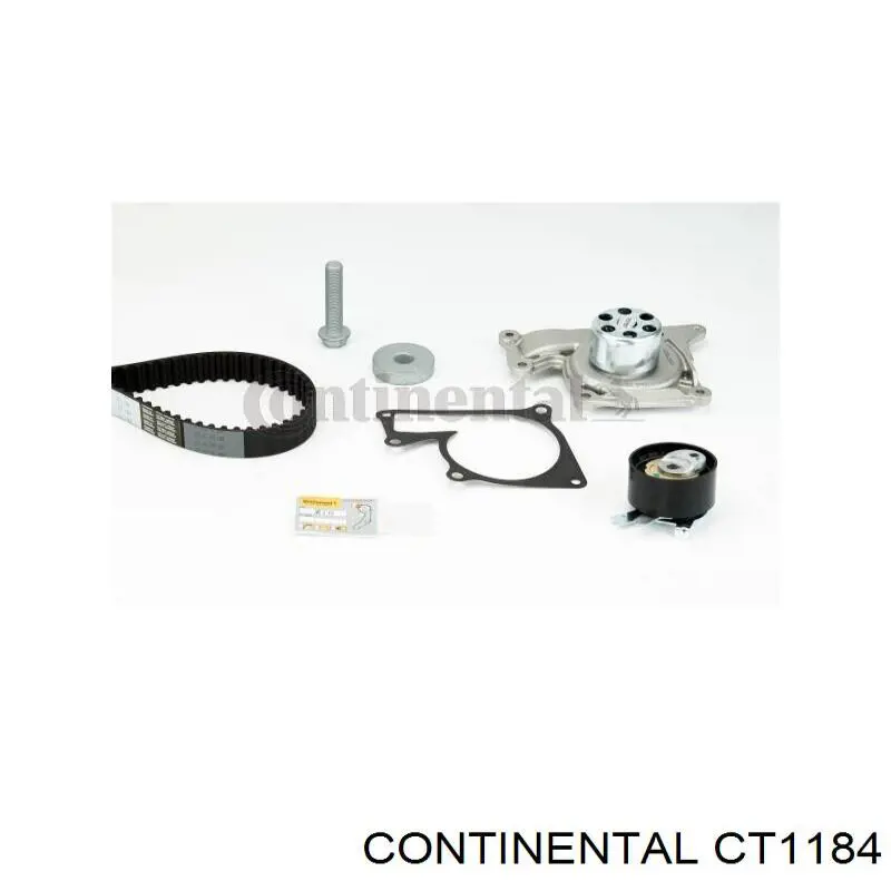 CT1184 Continental/Siemens correa distribucion