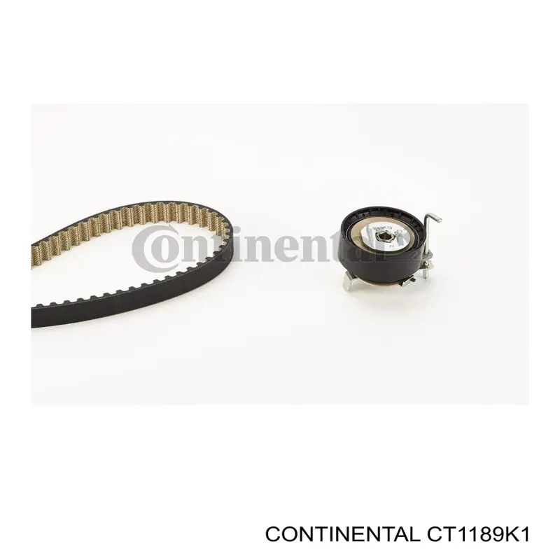 Juego de correas dentadas Ford 2121996 precio, desde 115,56 EUR