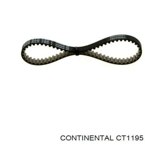 CT1195 Continental/Siemens correa trapezoidal