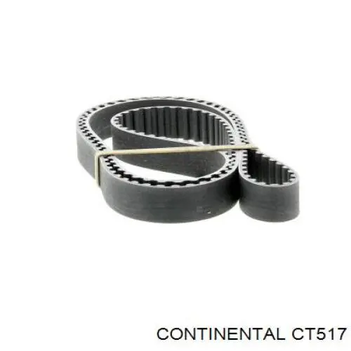 Correa distribución CT517 Continental/Siemens