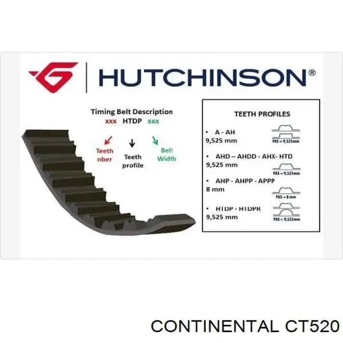 CT520 Continental/Siemens correa distribucion