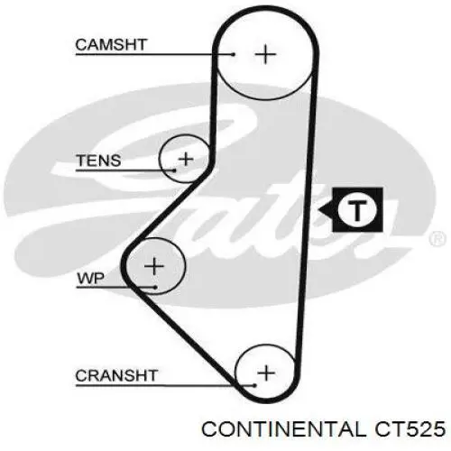 Comprar CT525 Continental/Siemens Correa distribución