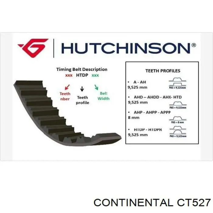 CT527 Continental/Siemens correa distribución
