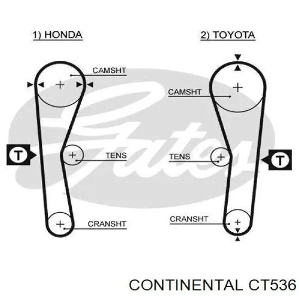 Comprar CT536 Continental/Siemens Correa distribución