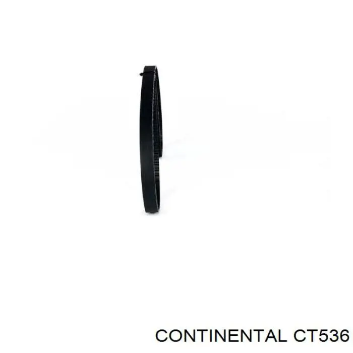 Correa distribución CT536 Continental/Siemens