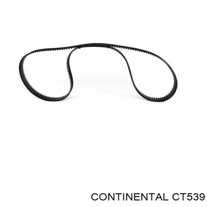 Correa distribución CT539 Continental/Siemens