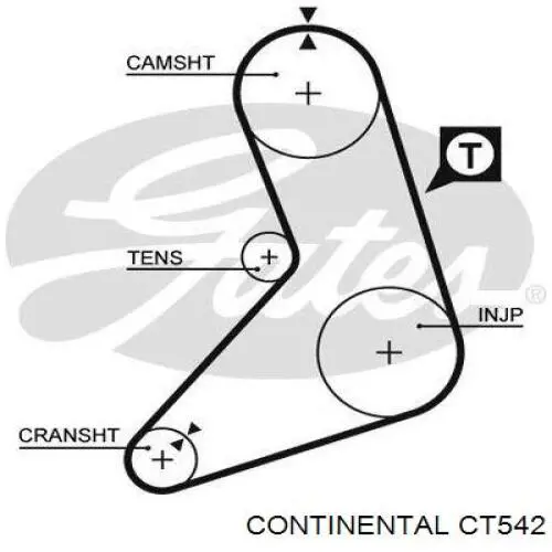 CT542 Continental/Siemens correa distribucion