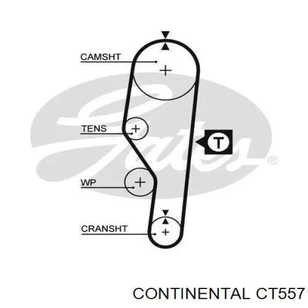 Correa distribución Continental/Siemens CT557 precio, desde 30,15 USD