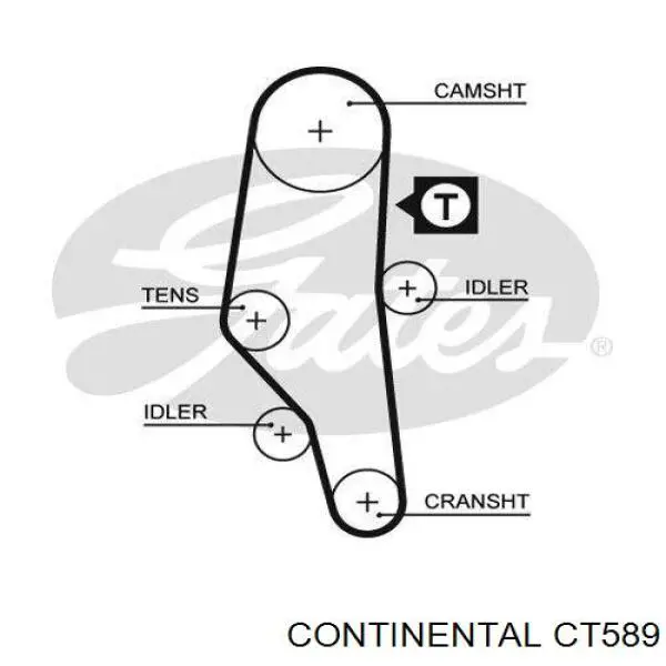 CT589 Continental/Siemens correa distribucion