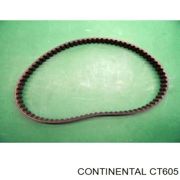 Correa distribución CT605 Continental/Siemens