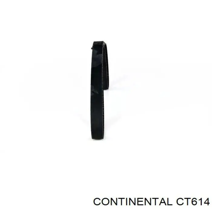 CT614 Continental/Siemens Correa dentada