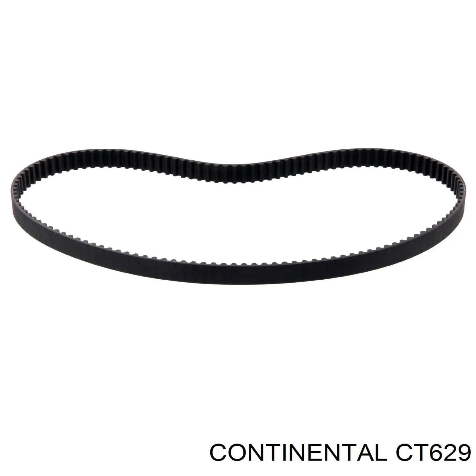 CT629 Continental/Siemens correa distribución