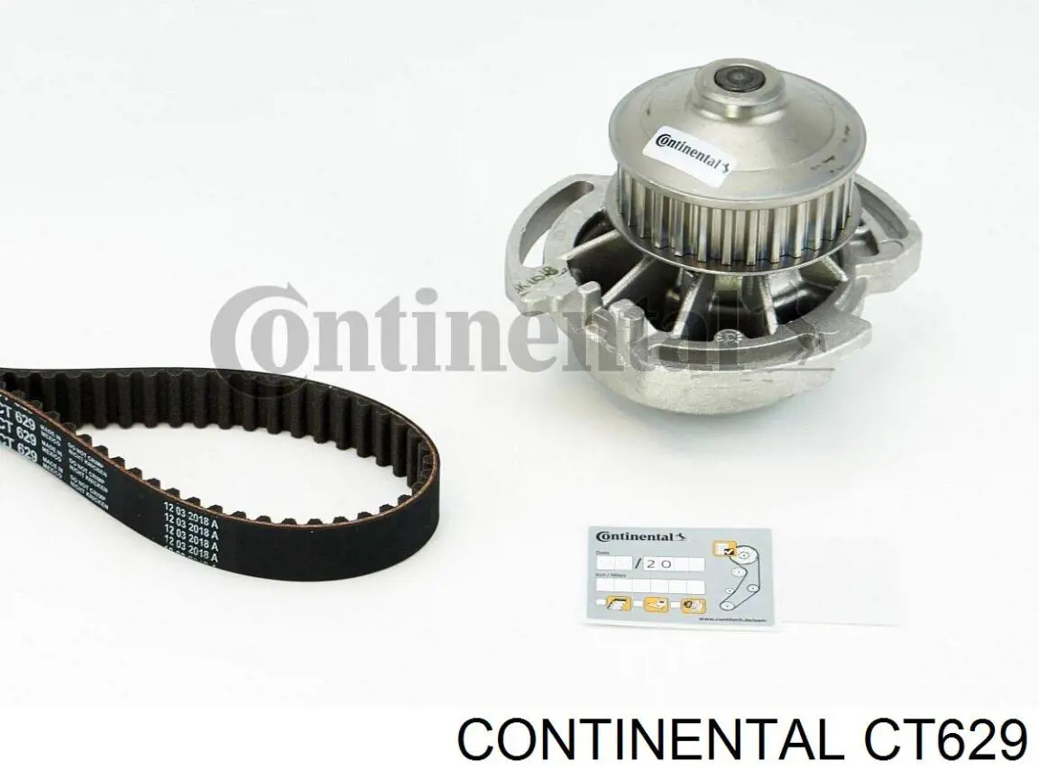 Correa de distribución Continental/Siemens CT629 precio, desde 25,02 EUR