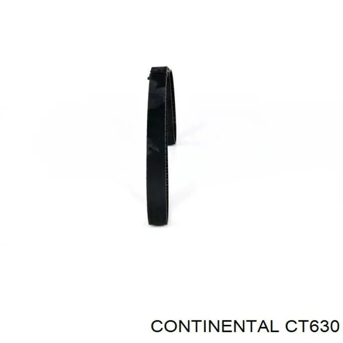 Correa distribución CT630 Continental/Siemens