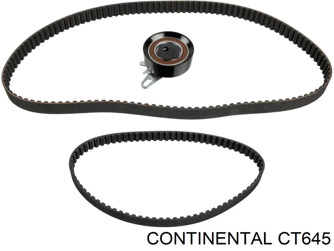 Correa de la bomba de inyección CT645 Continental/Siemens