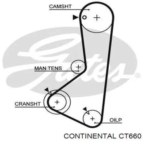 CT660 Continental/Siemens correa distribucion