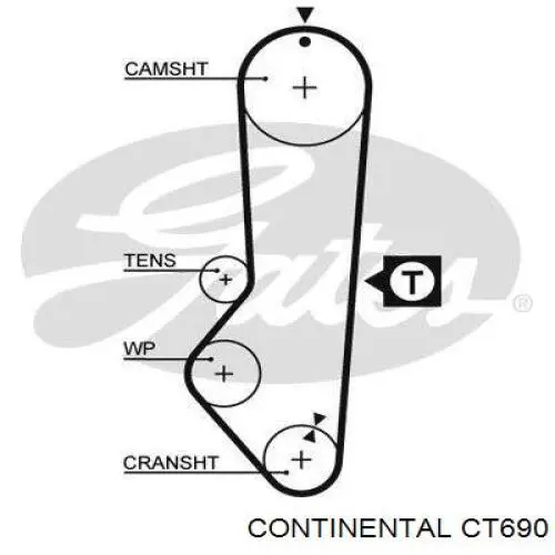 Comprar CT690 Continental/Siemens Correa distribución