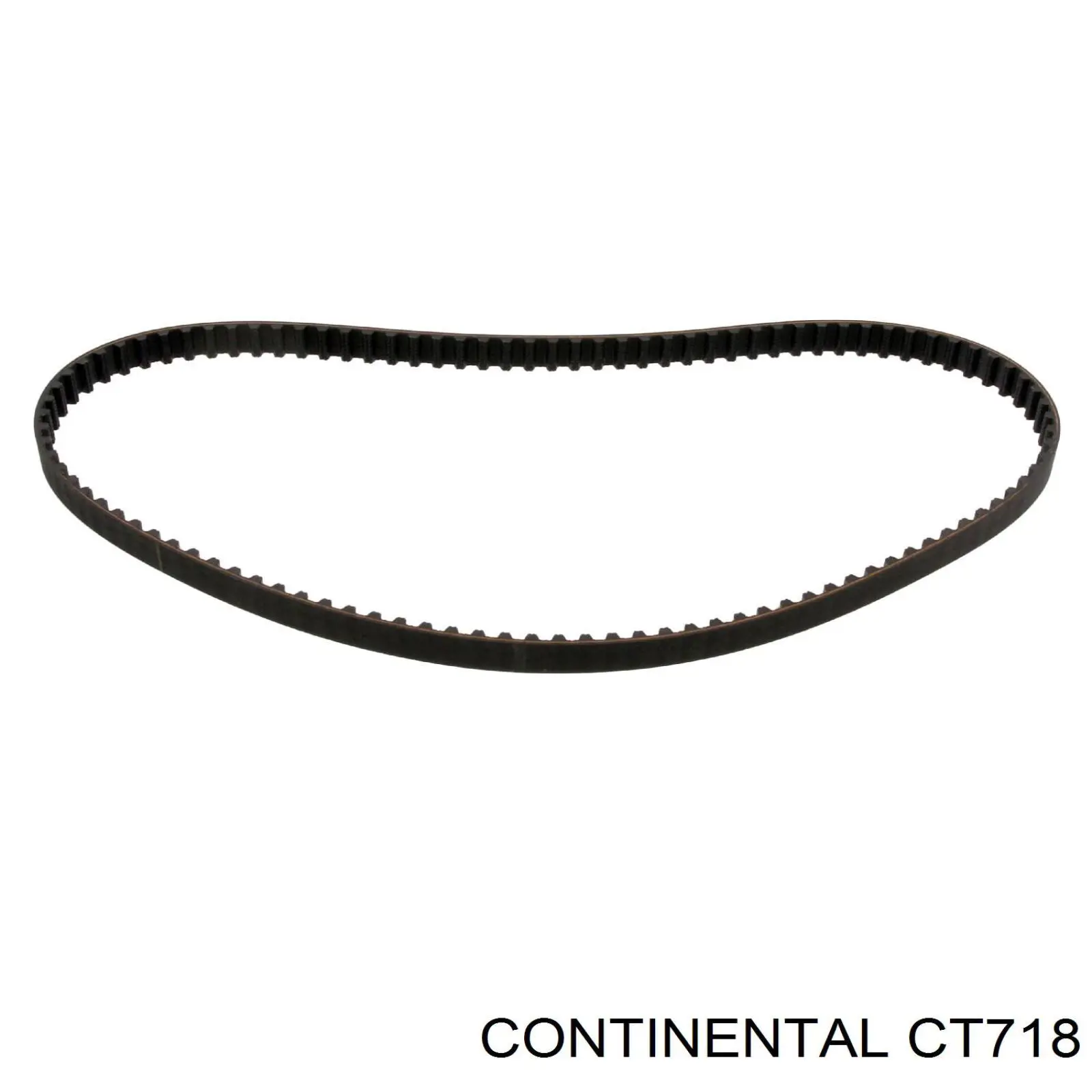Correa distribución CT718 Continental/Siemens