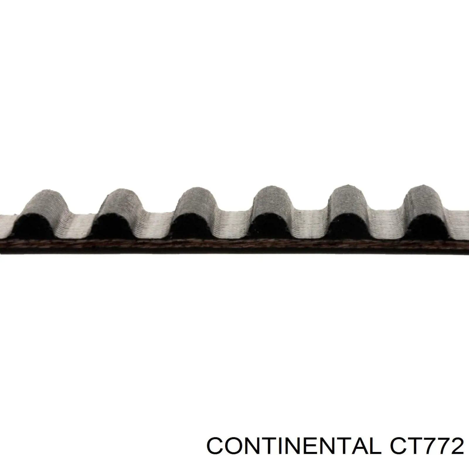 Correa distribución CT772 Continental/Siemens
