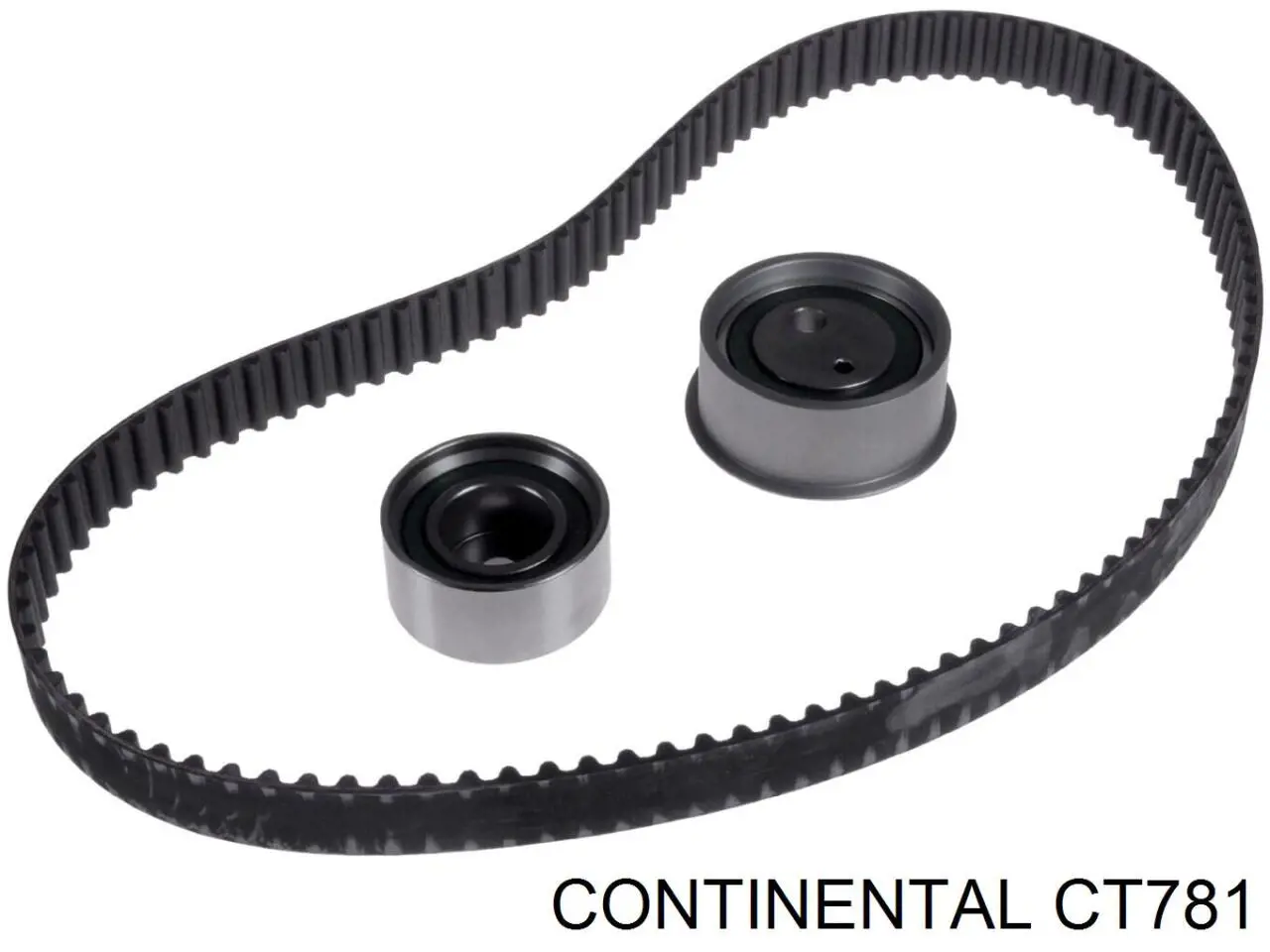 Correa distribución CT781 Continental/Siemens